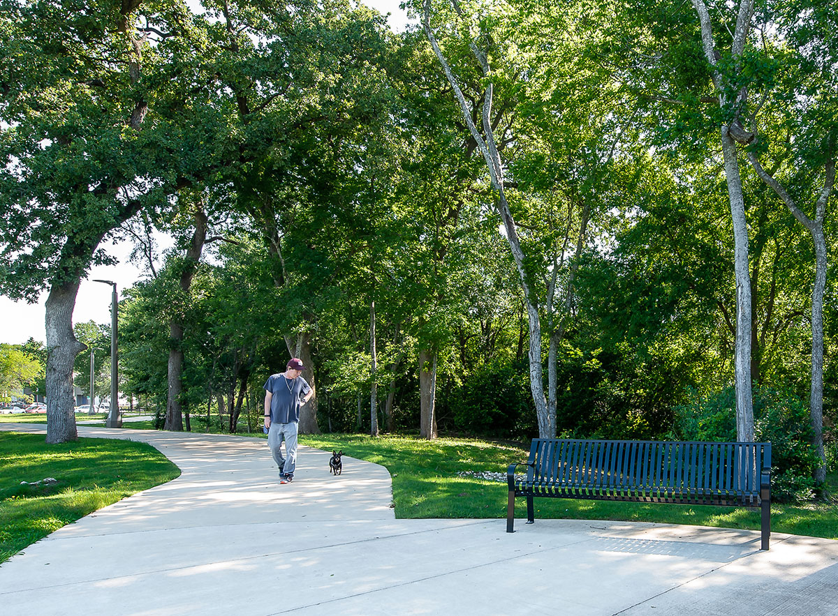 walk-in-park Man and dog walking in the park